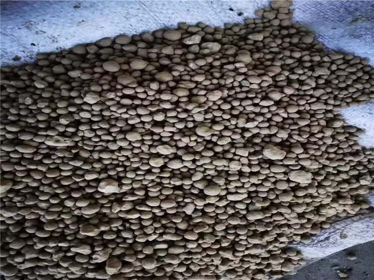 ЙC(j)ʈAPC(j)͑ԇC(j)wЧ